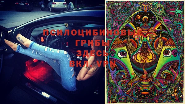 твердый Армянск