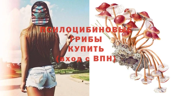 твердый Армянск