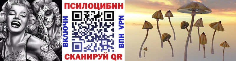 Галлюциногенные грибы мухоморы  закладка  блэк спрут tor  Покровск 